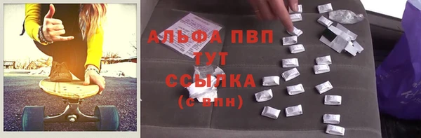 стафф Заводоуковск