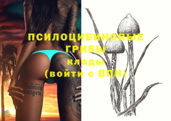 стафф Заводоуковск