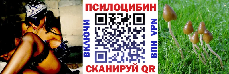 ссылка на мегу маркетплейс  наркотики  Миньяр  Галлюциногенные грибы GOLDEN TEACHER 